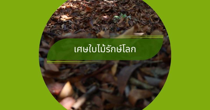 เศษใบไม้รักษ์โลก